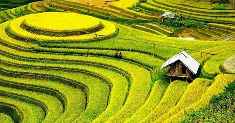 Từ 2026, cả nước tuyển sinh lớp 1, lớp 6 theo nguyên tắc 'nhà gần trường'